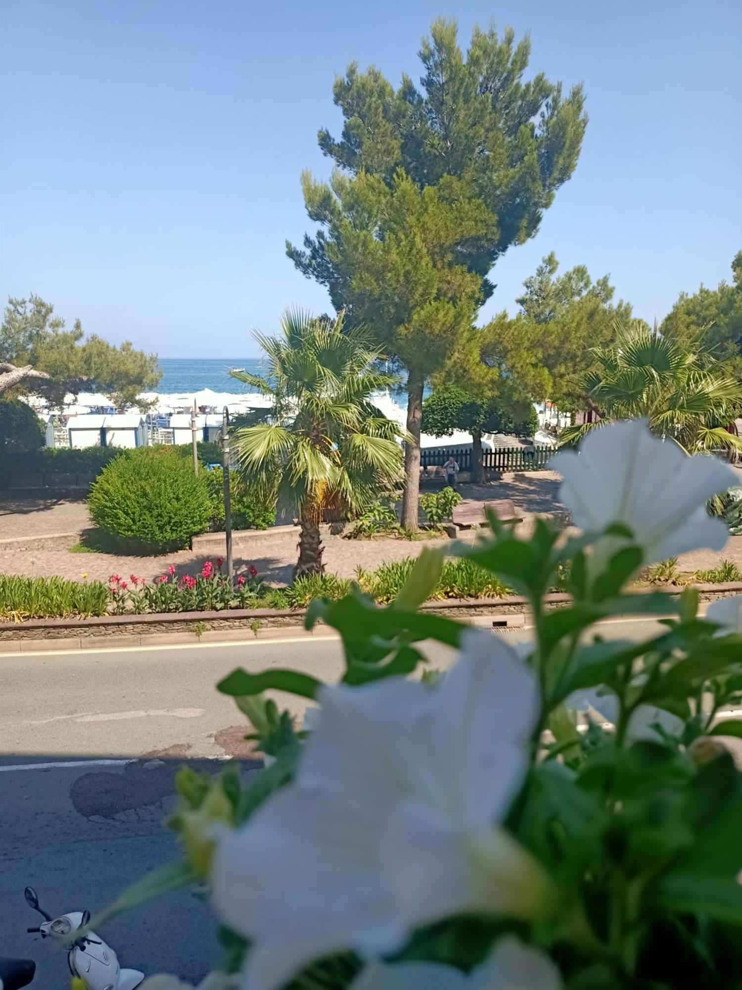 Hotel Serena Arenzano Exteriör bild